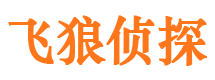 贾汪市私家侦探